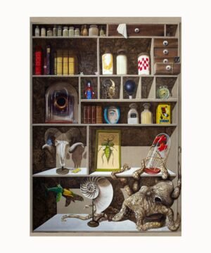 Cabinet de curiosités