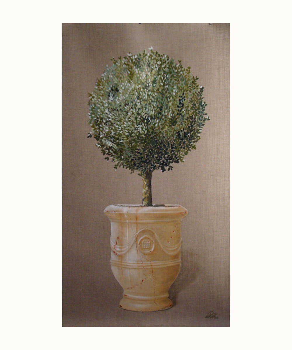 Peinture d’un buis en topiaire dans un vase d’Anduze – Franck Picault