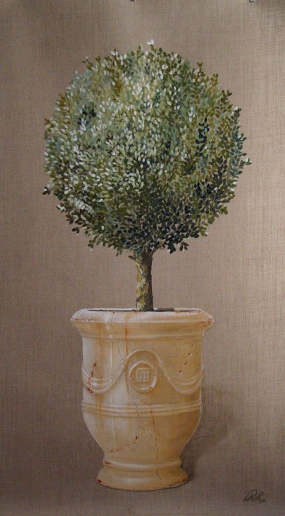 Buis en topiaire dans un vase d'Anduze – Image 2