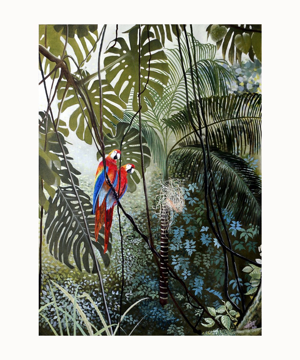 Aras en jungle