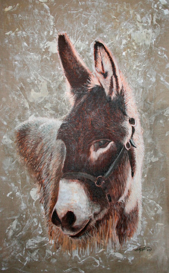 L’Âne Anastase – portrait réaliste d’un âne sur fond gris texturé